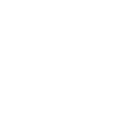 Snorkel with Turtles