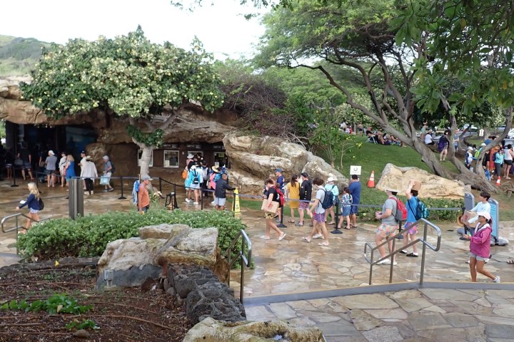a group of people walking down a dirt road